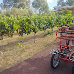 Photo n°15 de l'avis de Michele.a fait le 31/08/2023 à 18:03 sur le  Hotel Rurale e Spa Orti di Nora à Santa Margherita di Pula