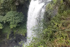 Zillie Falls, Qld image