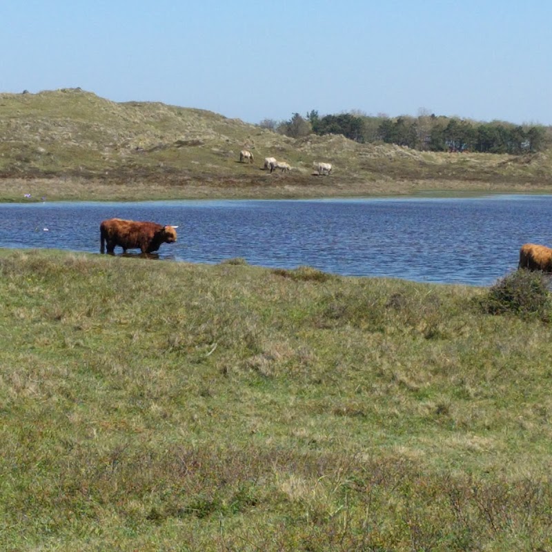 De Helderse Duinen