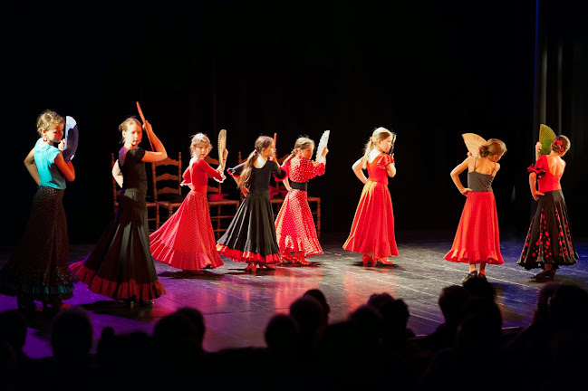 Rezensionen über Flamenco Tanzstudio Susana in Bern - Tanzschule