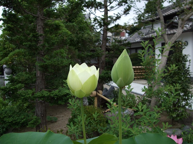 光福寺