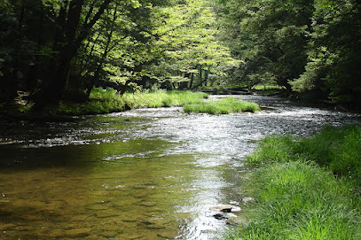 Allegheny National Forest