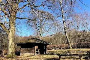 Clemenhütte (Wetterschutzhütte) image