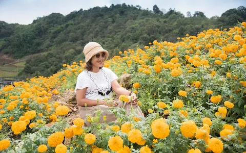 Ying Yong Flower Garden image