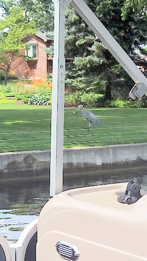 Public Golf Course «Turkeyfoot Golf Course», reviews and photos, 294 W Turkeyfoot Lake Rd, Akron, OH 44319, USA