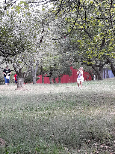 Movie Rental Store «Family Video», reviews and photos, 143 N Main St, Bellefontaine, OH 43311, USA