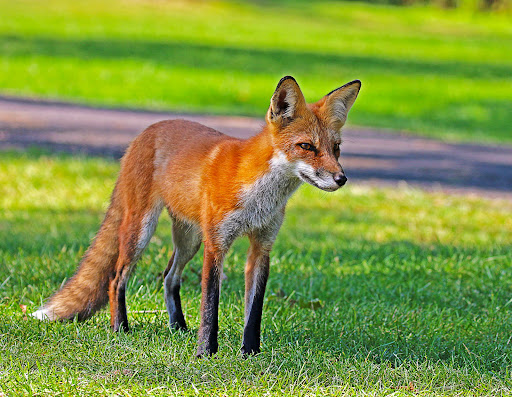 Golf Course «Overpeck Golf Course», reviews and photos, 273 E Cedar Ln, Teaneck, NJ 07666, USA