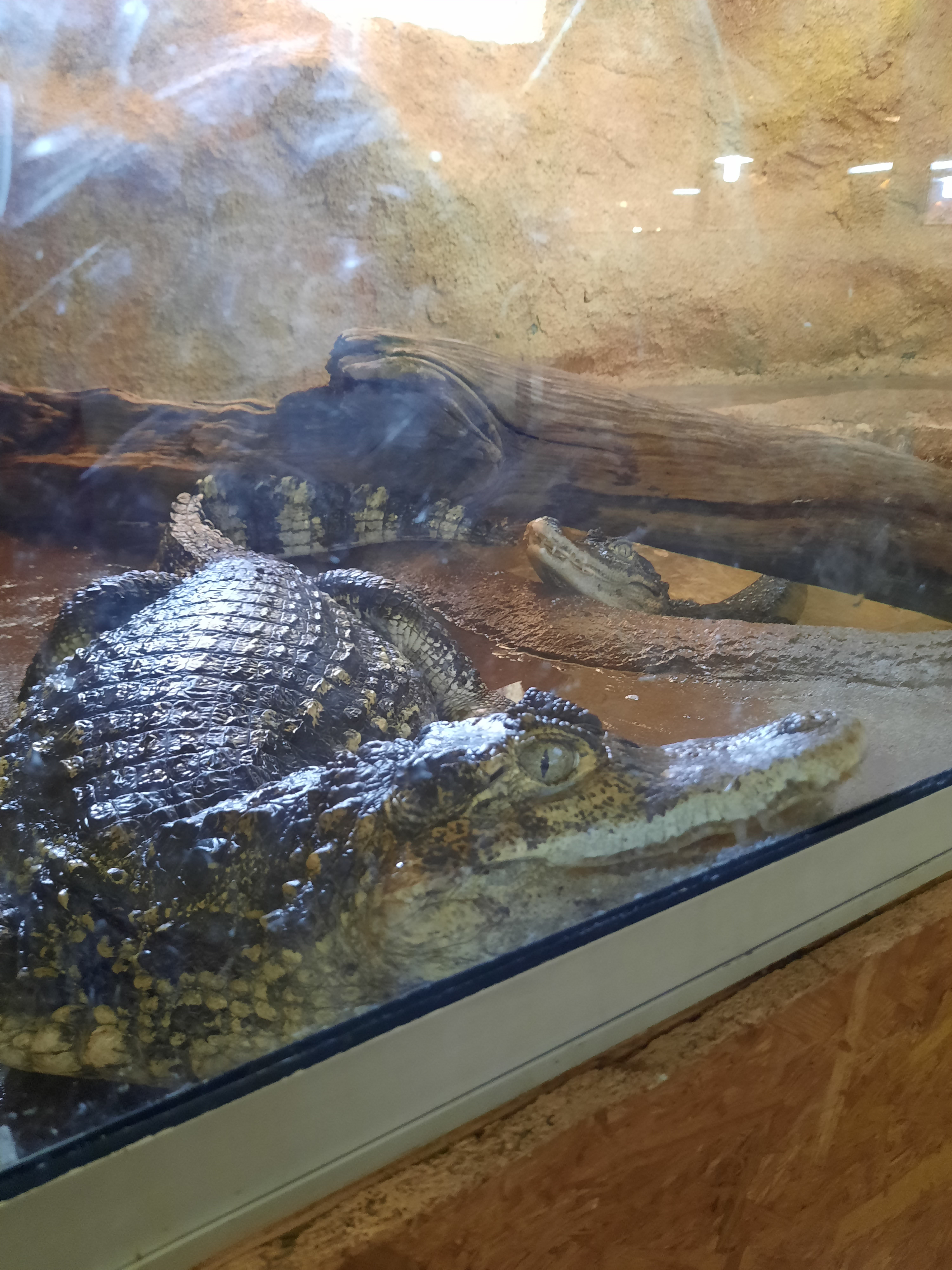 Photo n° 1 de l'avis de Aline.o fait le 27/07/2023 à 14:39