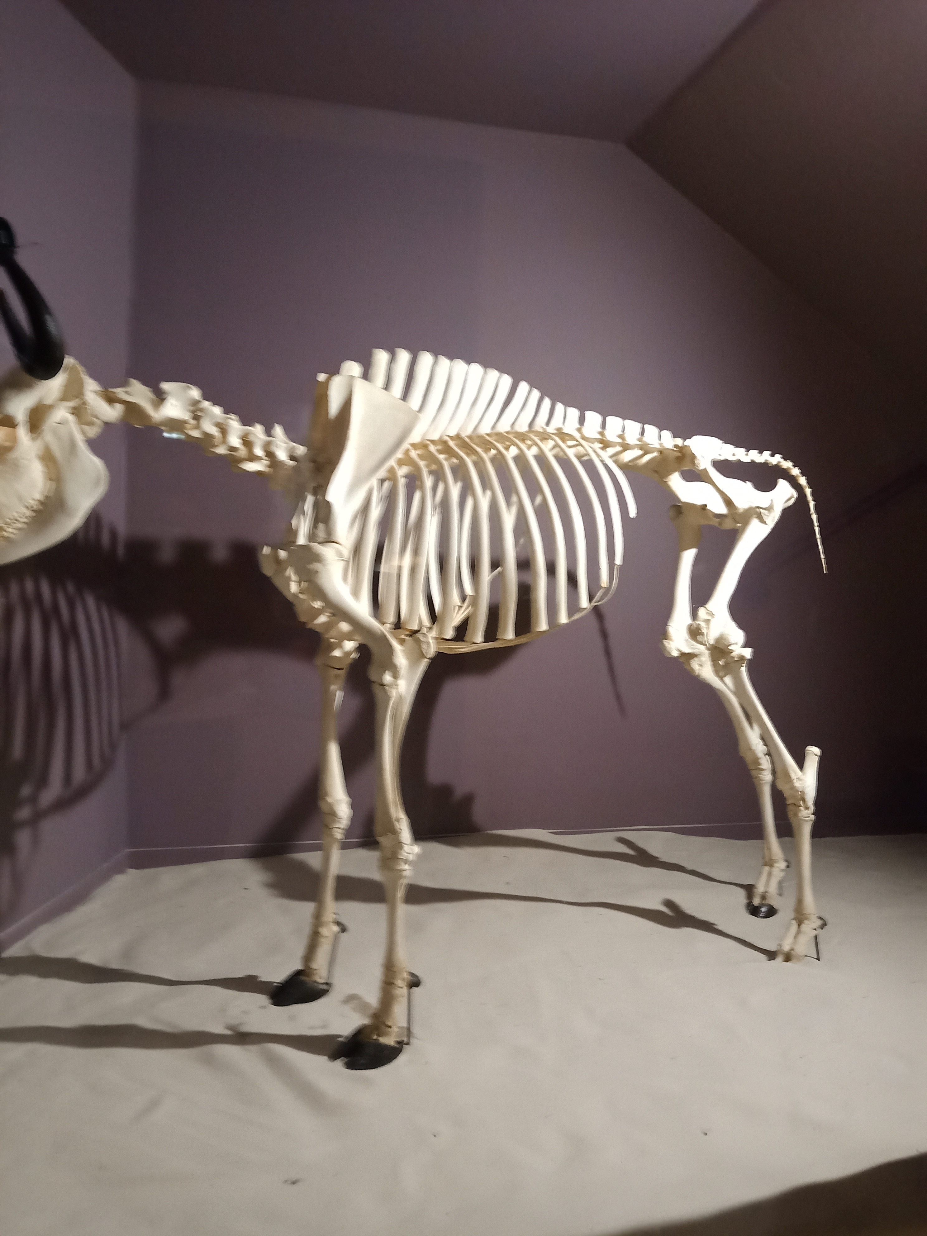 Photo n° 19 de l'avis de Marj.a fait le 18/07/2021 à 21:04