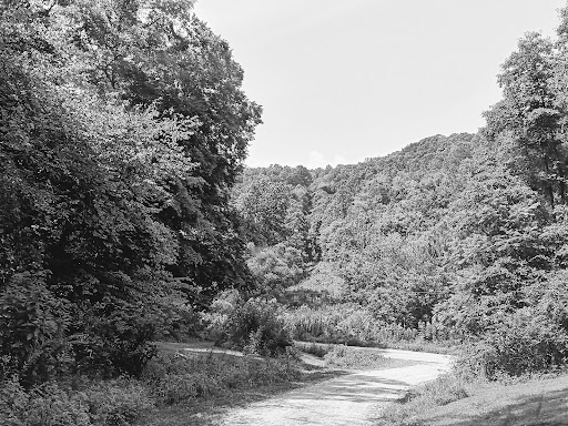 Tourist Attraction «High Rock Adventures - Hocking Hills Ecotours», reviews and photos, 10108 Opossum Hollow Rd, Rockbridge, OH 43149, USA