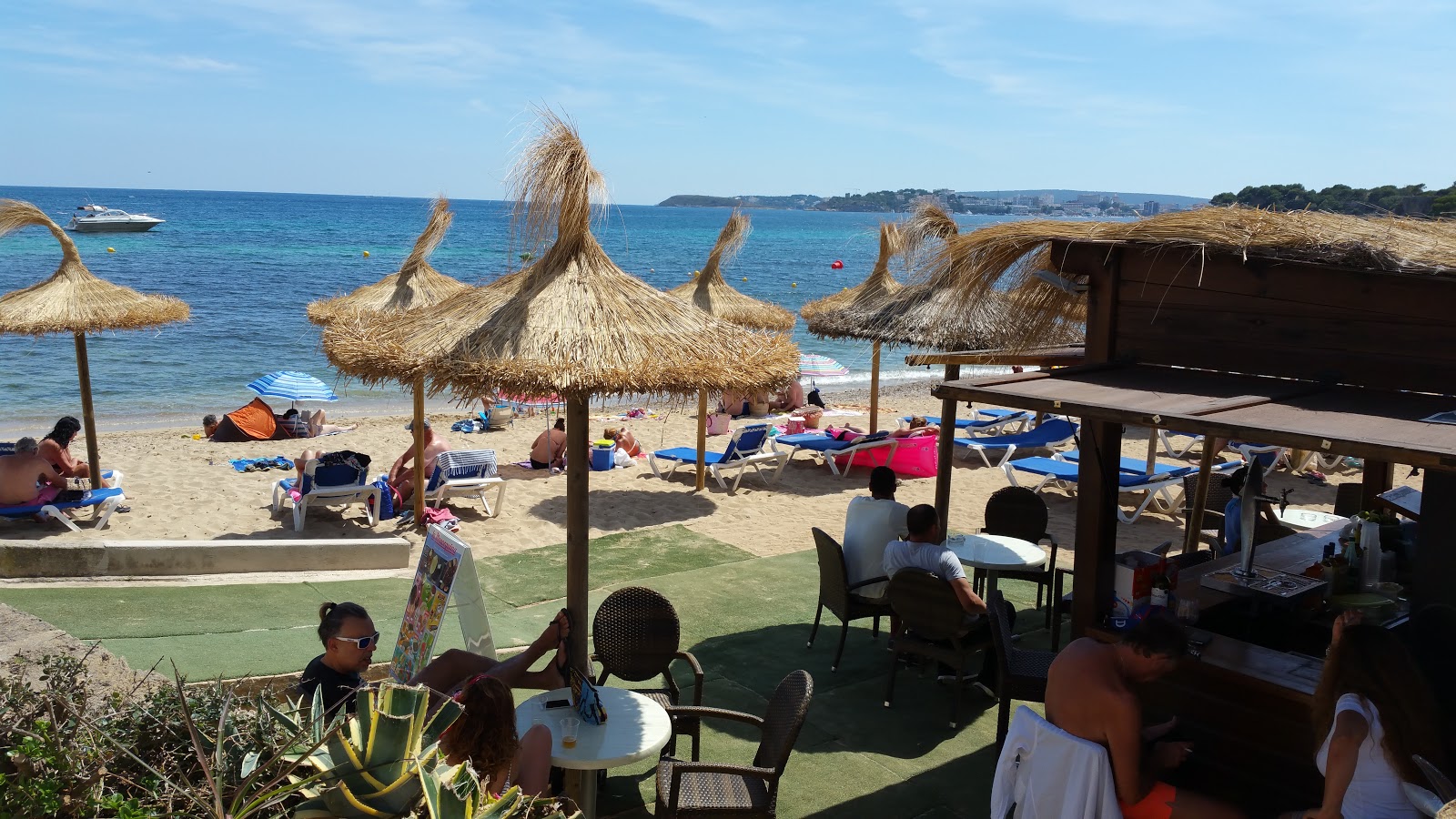 Costa d'en Blanes的照片 具有非常干净级别的清洁度