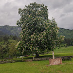Photo n°14 de l'avis de Luisa.a fait le 24/02/2023 à 22:33 sur le  Osteria sant'Anna à Sopramonte