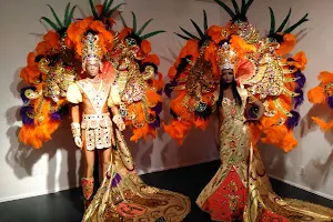 Mardi Gras Museum of Costumes & Culture image