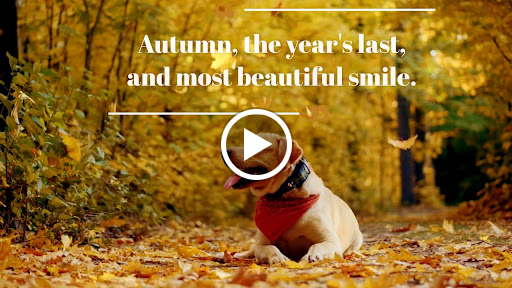 Florist «Oneco Florist», reviews and photos, 5012 15th St E, Bradenton, FL 34203, USA