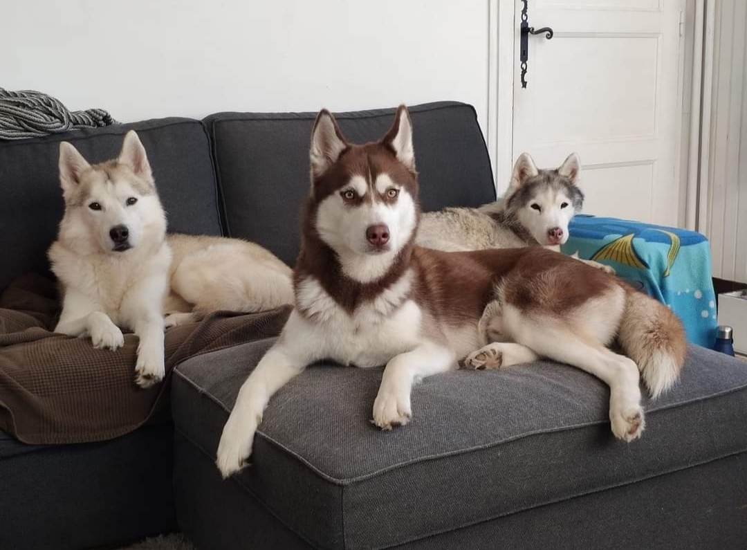 Photo n° 3 de l'avis de Sébastien.' fait le 18/10/2020 à 19:44