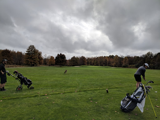 Public Golf Course «Mercer Oaks Golf Course», reviews and photos, 725 Village Rd W, West Windsor Township, NJ 08550, USA