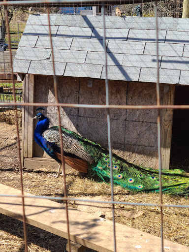 Produce Market «Highland Orchards Farm Market», reviews and photos, 1431 Foulk Rd, Wilmington, DE 19803, USA