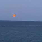 Photo n°1 de l'avis de Flavio.a fait le 16/08/2022 à 07:48 sur le  Osteria Dell'Olio Grosso à Imperia