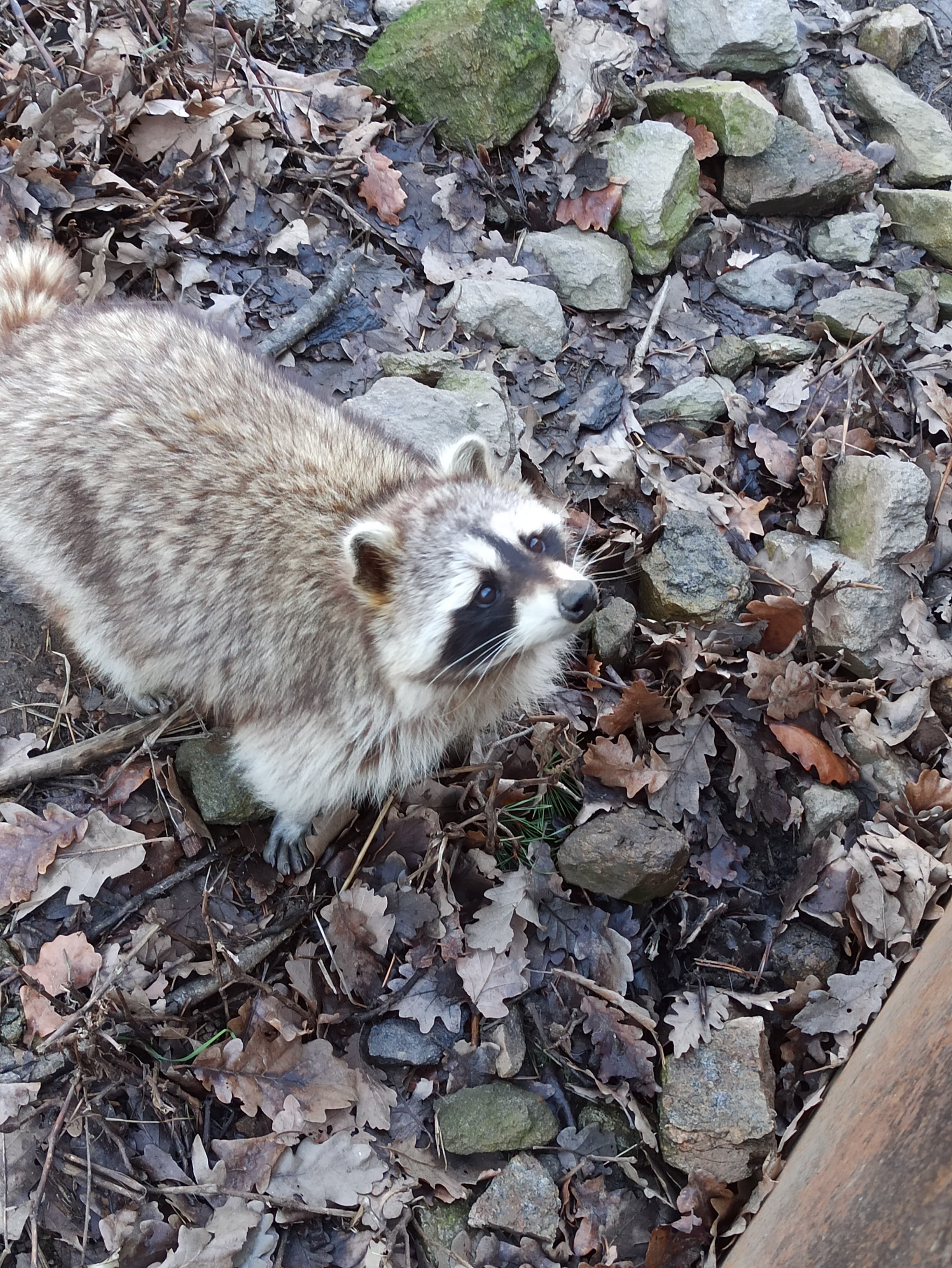 Photo n° 6 de l'avis de Cateline.a fait le 29/02/2024 à 17:05