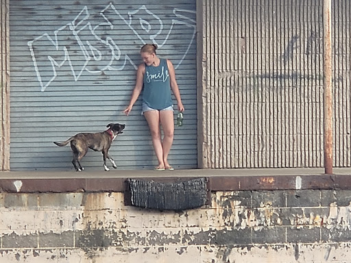 Laundromat «Wash Land Laundromat», reviews and photos, 2007 S Military Hwy B, Chesapeake, VA 23320, USA