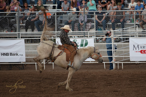 Department Store «Walmart Supercenter», reviews and photos, 1863 5300 Rd, Coffeyville, KS 67337, USA