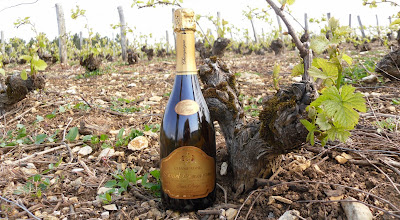 CHAMPAGNE LAMOUREUX DANIEL à Les Riceys