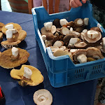 Photo n°3 de l'avis de jean.e fait le 29/01/2021 à 10:52 sur le  Hotel Jasmine à Teulada