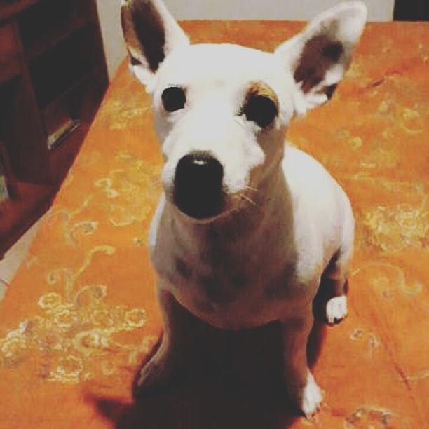 Photo n° 1 de l'avis de Noelle.a fait le 30/07/2017 à 09:16