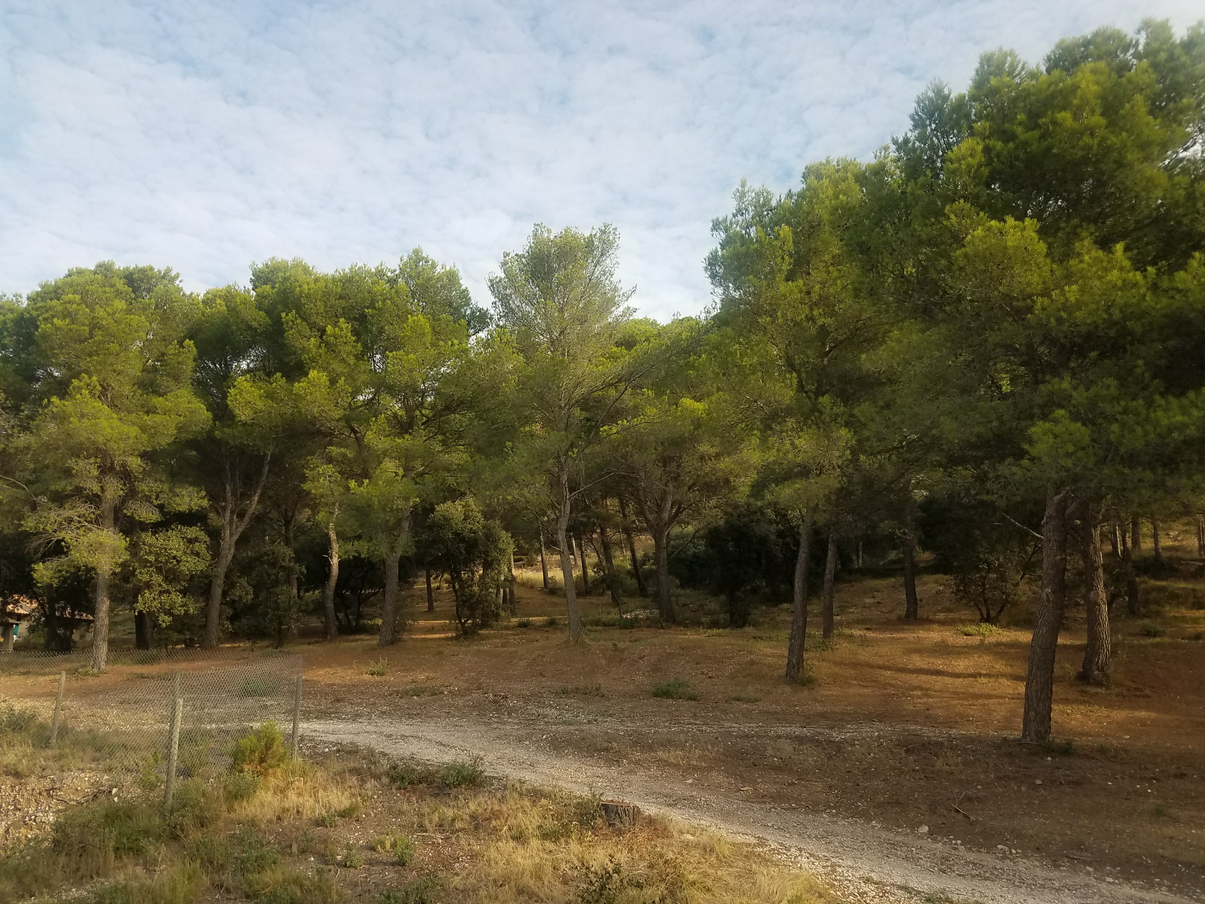 Photo n° 3 de l'avis de M'Anon.e fait le 22/07/2018 à 03:51