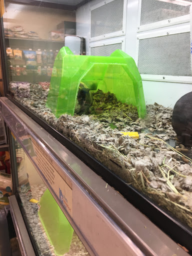 Pet Supply Store «Unleashed by Petco», reviews and photos, 16848 San Fernando Mission Blvd, Granada Hills, CA 91344, USA