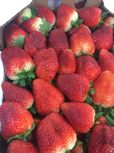 Grocery Store «Whitehall Grocery & Hardware», reviews and photos, 22633 LA-22, Maurepas, LA 70449, USA