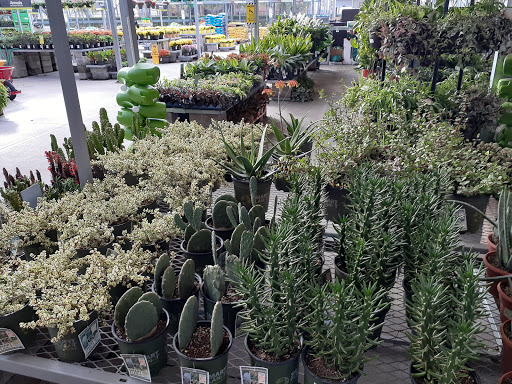 Home Improvement Store «The Home Depot», reviews and photos, 14085 Northwest Fwy, Houston, TX 77040, USA