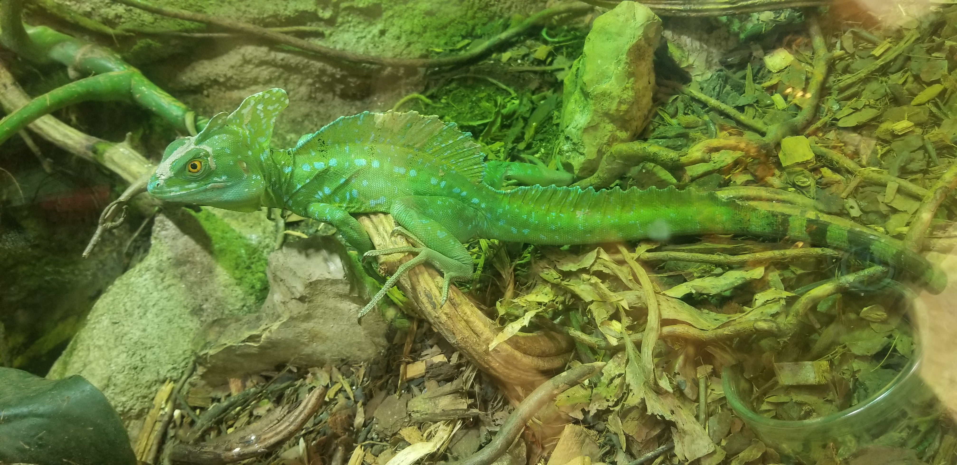 Photo n° 3 de l'avis de Solene.e fait le 27/06/2022 à 07:59