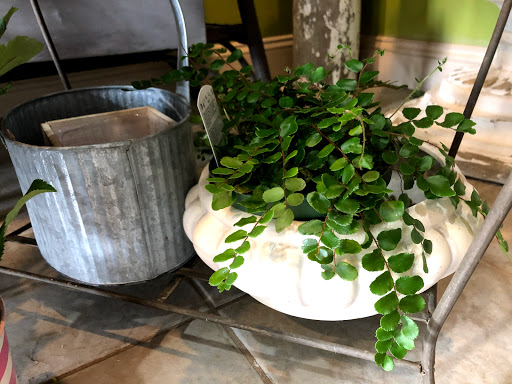 Florist «Flowers On the Green», reviews and photos, 959 Boston Post Rd, Guilford, CT 06437, USA