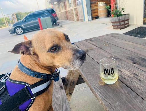 Winery «DUO Winery & Cider Co.», reviews and photos, 2150 Dickinson Ave, Dickinson, TX 77539, USA