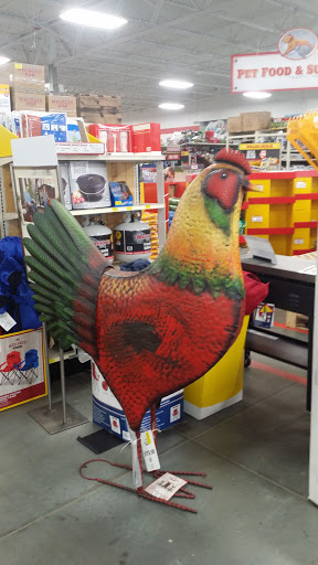 Home Improvement Store «Tractor Supply Co.», reviews and photos, 3330 US-80, Dudley, GA 31022, USA