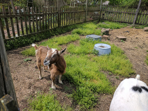 Antique Store «Medford Company Store», reviews and photos, 134 S Main St, Medford, NJ 08055, USA
