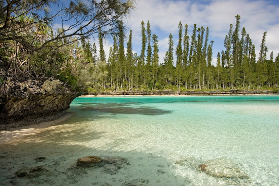 Oro Natural Pool