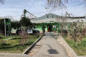 Steaua Divina Medical Center and Shop image