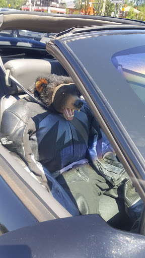 Hardware Store «Morgan Ace Hardware», reviews and photos, 109 E Main St, Woodstock, GA 30188, USA