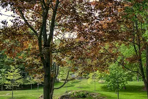 Harriet Irving Memorial Park image