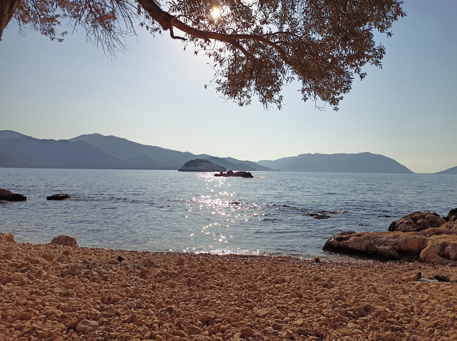 Grape Pier'in fotoğrafı çok temiz temizlik seviyesi ile