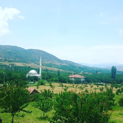 Ömer Doğan Cami