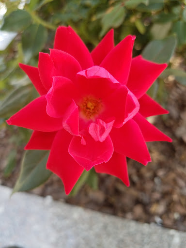 Stadium «Progressive Field», reviews and photos, 2401 Ontario St, Cleveland, OH 44115, USA