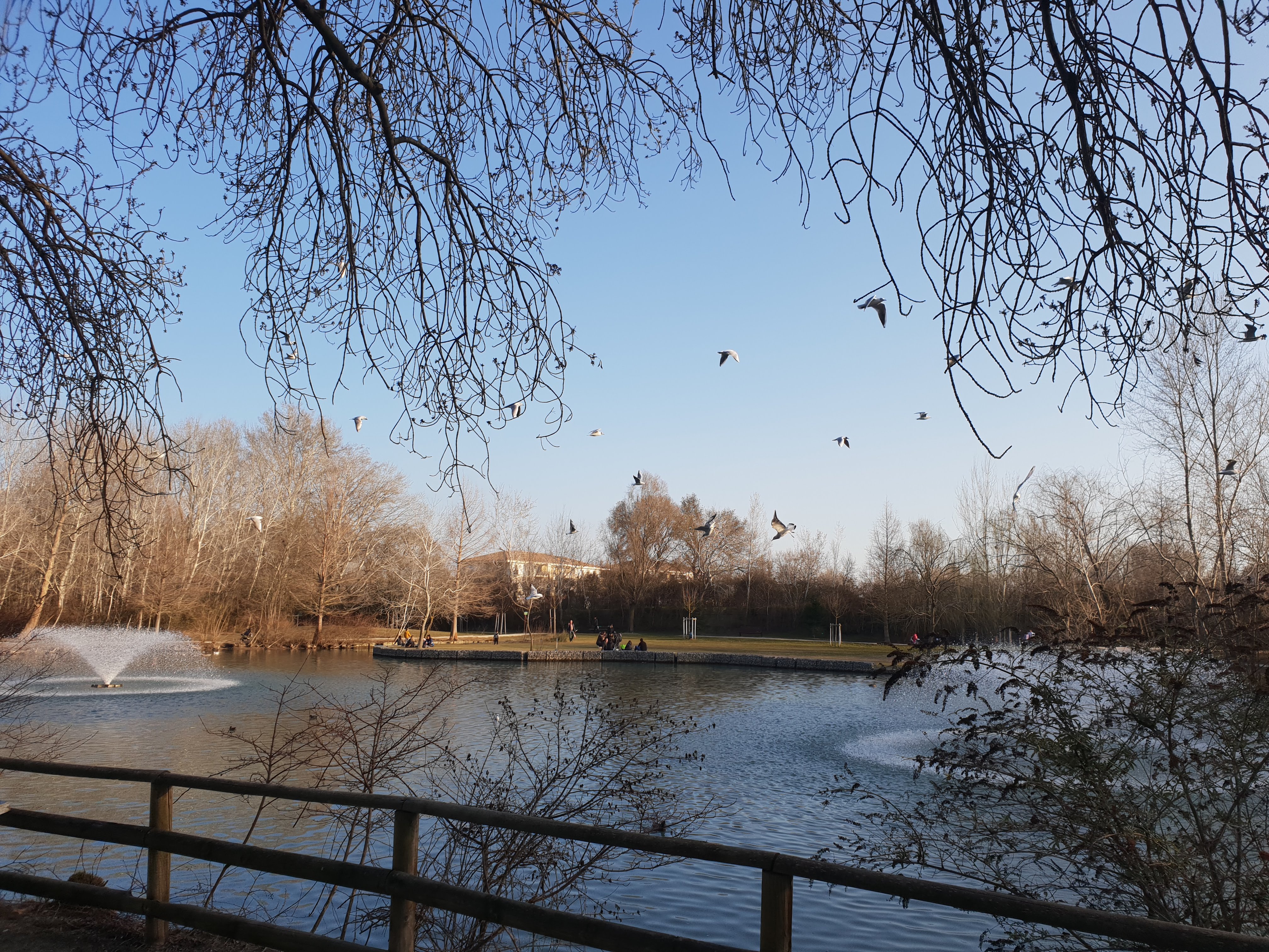 Photo n° 2 de l'avis de sebastien.a fait le 27/02/2019 à 20:05