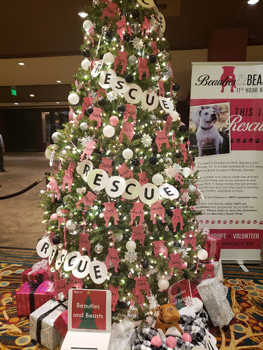 Casino «Kansas Star Casino», reviews and photos, 777 Kansas Star Drive, Mulvane, KS 67110, USA