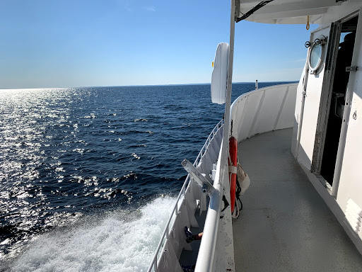 Whale Watching Tour Agency «Cape Ann Whale Watch», reviews and photos, 415 Main St, Gloucester, MA 01930, USA