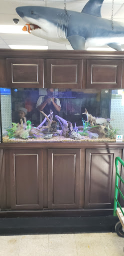 Tropical Fish Store «Marine Warehouse Aquarium», reviews and photos, 8021 W Hillsborough Ave, Tampa, FL 33615, USA