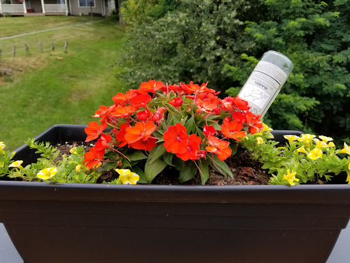 Winery «El Paso Winery Inc», reviews and photos, 742 Broadway, Ulster Park, NY 12487, USA