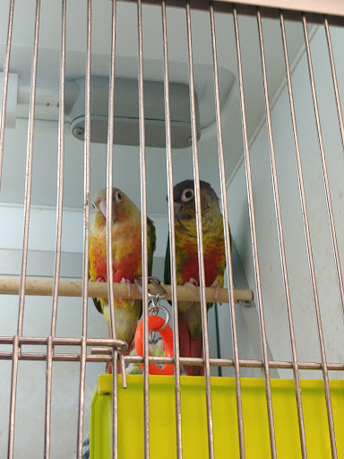 Pet Supply Store «Pet Supplies Plus», reviews and photos, 14839 Detroit Ave, Lakewood, OH 44107, USA